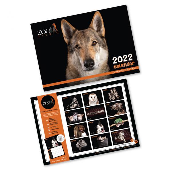 Zoo Studio 2022 Calendar Zoo Studio